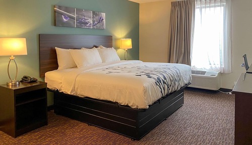 Standard Room, 1 King Bed, Non Smoking