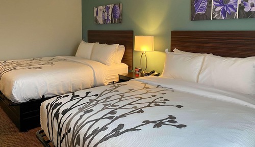 Room, 2 Queen Beds, Accessible, Non Smoking (Roll-In Shower)