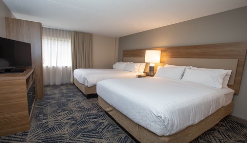 Suite, 1 Bedroom