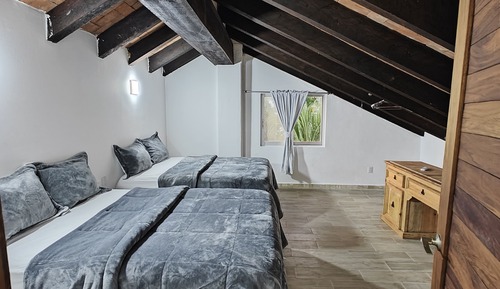 Basic Triple Room