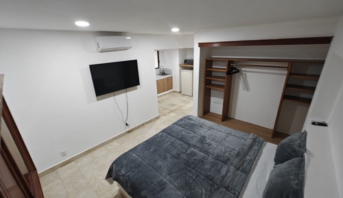Basic Studio Suite