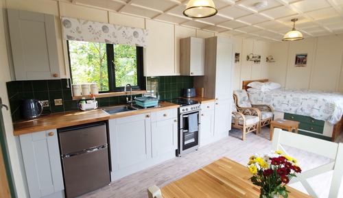 Studio, 1 King Bed (Mallard)