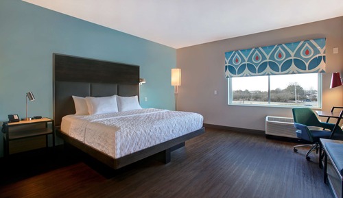 Room, 1 King Bed, Accessible (Roll-In Shower)