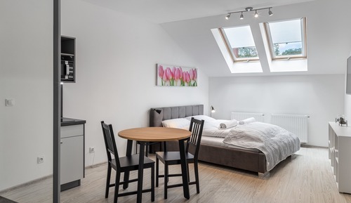 Studio Suite (63)