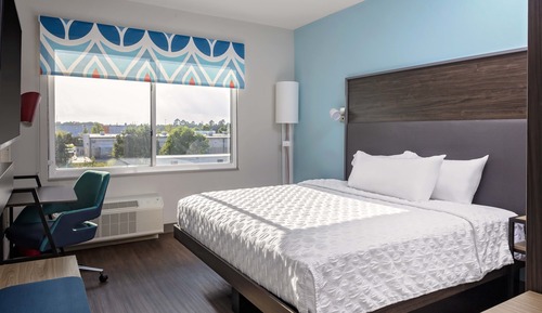Room, 1 King Bed