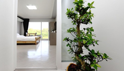 Room (Dugashi)
