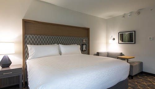 Standard Room, 1 King Bed, Accessible (Communications)