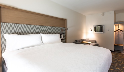 Suite, 1 King Bed with Sofa bed