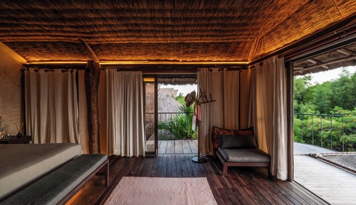 Junior Suite (Jungle View)
