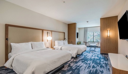 Single Room, Multiple Beds