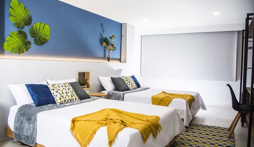Studio Suite, 2 Double Beds