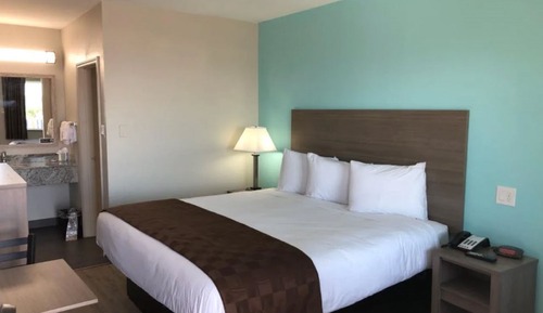 Room, 1 King Bed