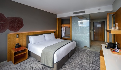 Standard Room, 1 King Bed
