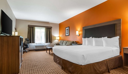 Standard Room, 1 King Bed, Non Smoking, Refrigerator & Microwave (with Sofabed)