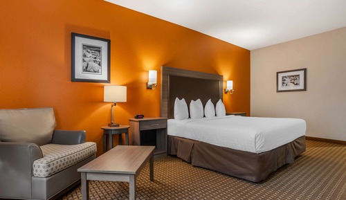 Standard Room, 1 King Bed, Accessible, Non Smoking