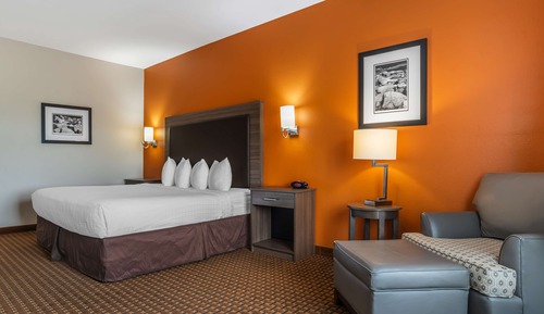 Standard Room, 1 King Bed, Non Smoking, Refrigerator & Microwave