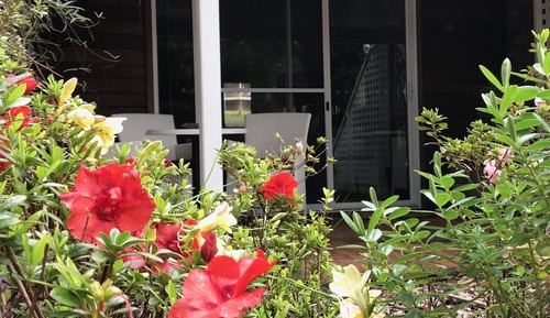 Panoramic Studio Suite, Multiple Beds, Kitchen, Garden View