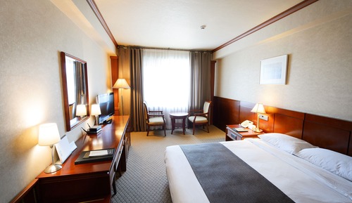 Superior Double Room, Mountain View