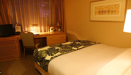 Standard Double Room, Non Smoking
