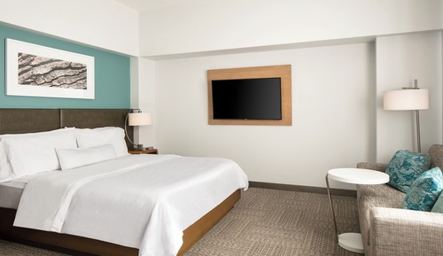 Standard Room, 1 King Bed with Sofa bed