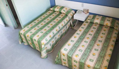 Room, 2 Twin Beds