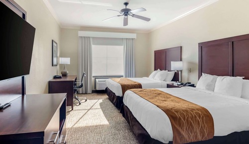 2 Queen Bed Suite with Sofa Bed