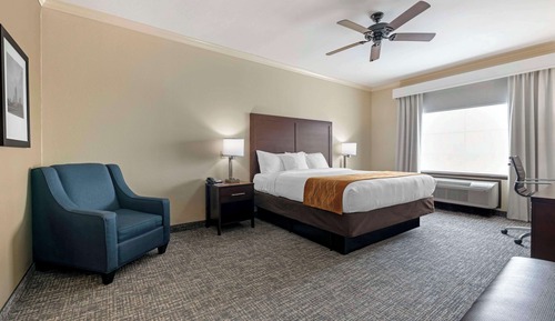 Standard Room, 1 King Bed, Non Smoking