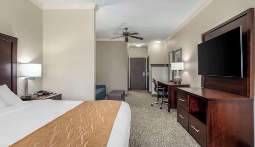 Suite, 1 King Bed with Sofa bed, Accessible, Non Smoking