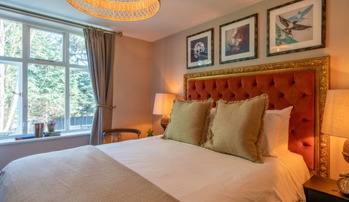 Premium Double Room