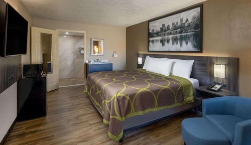 Room, 1 King Bed, Accessible, Non Smoking (Mobility Accessible, Roll-In Shower)
