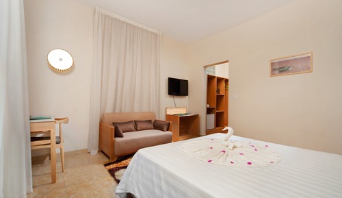 Room (Standard Anthurium)