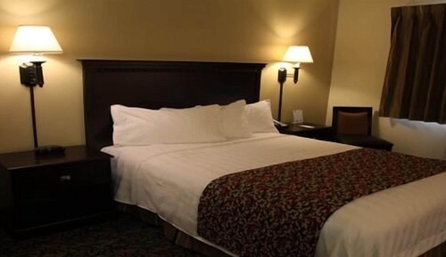Room, 1 Queen Bed