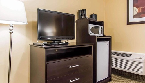 Traditional Room, 1 King Bed, Accessible, Non Smoking
