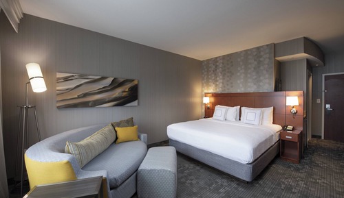 Room, 1 King Bed with Sofa bed