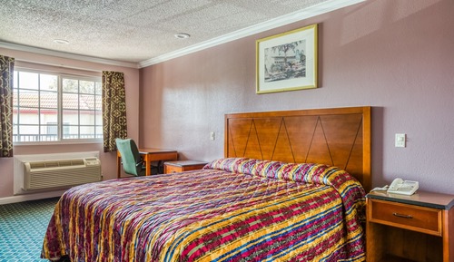 Room, 1 King Bed, Smoking