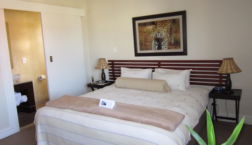 Double Room (King/Sleeper Couch)