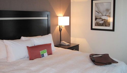 Studio, One King Bed