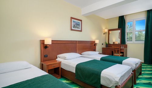 Standard Double or Twin Room, 1 Bedroom, Balcony