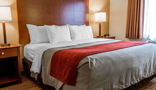 Suite, 1 King Bed with Sofa bed, Non Smoking