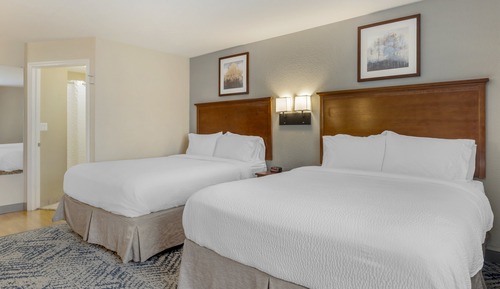 Studio Suite, 2 Queen Beds, Kitchen