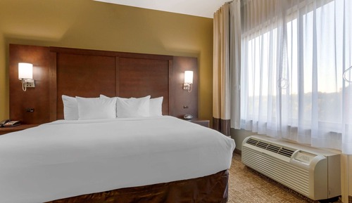 Suite, 1 King Bed with Sofa bed, Accessible, Non Smoking (Roll-In Shower)