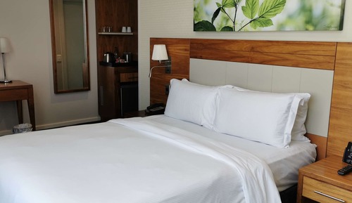 Room, 1 Queen Bed, Accessible