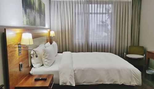 Room, 1 Queen Bed