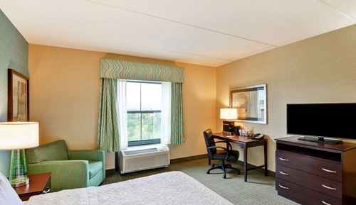One King Bed, Non-Smoking, Roll In Shower