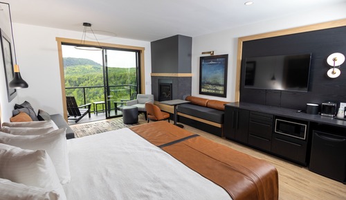 Elite Studio, 1 King Bed with Sofa bed, Fireplace, Partial Lake View