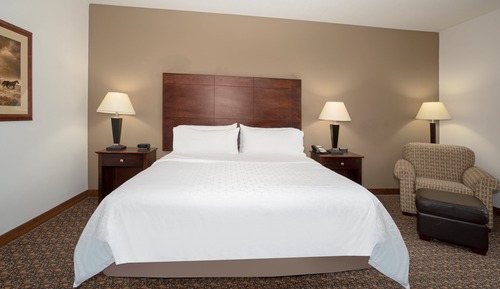 Standard Room, 1 King Bed, Accessible (Roll-In Shower)