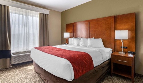 Suite, 1 King Bed with Sofa bed, Accessible, Non Smoking