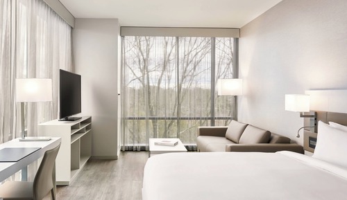 Room, 1 King Bed with Sofa bed, Corner