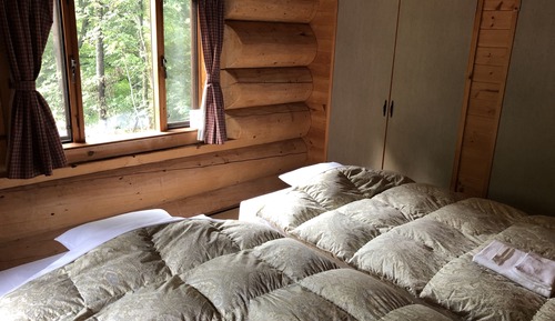 House (Log House)