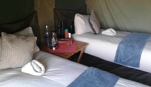 Luxury Tent